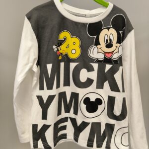 Mickey Mouse pluus 110