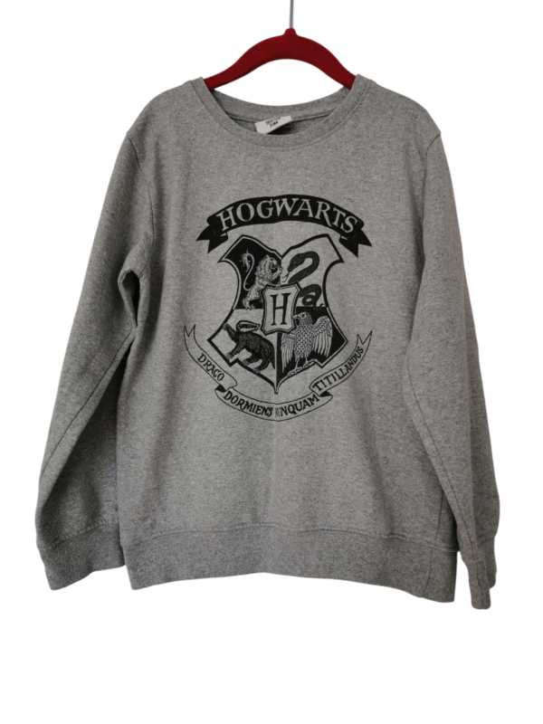 Harry Potter pusa suurus 122-128