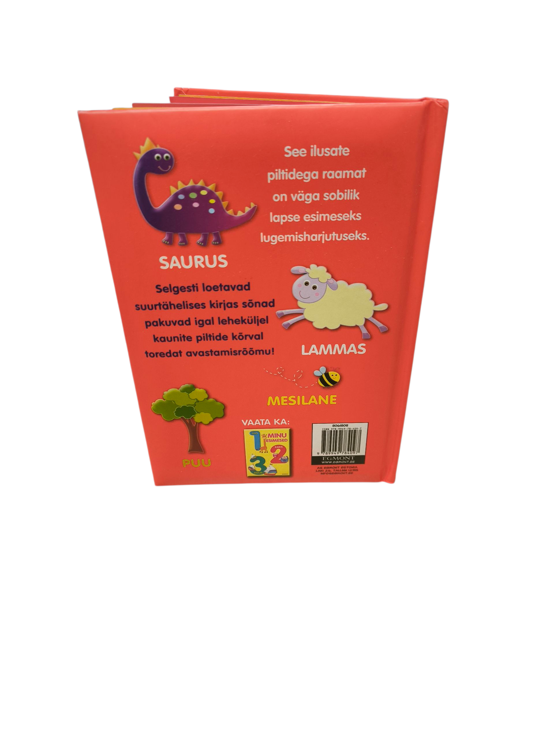 Minu esimesed sõnad. Raamat - Image 2