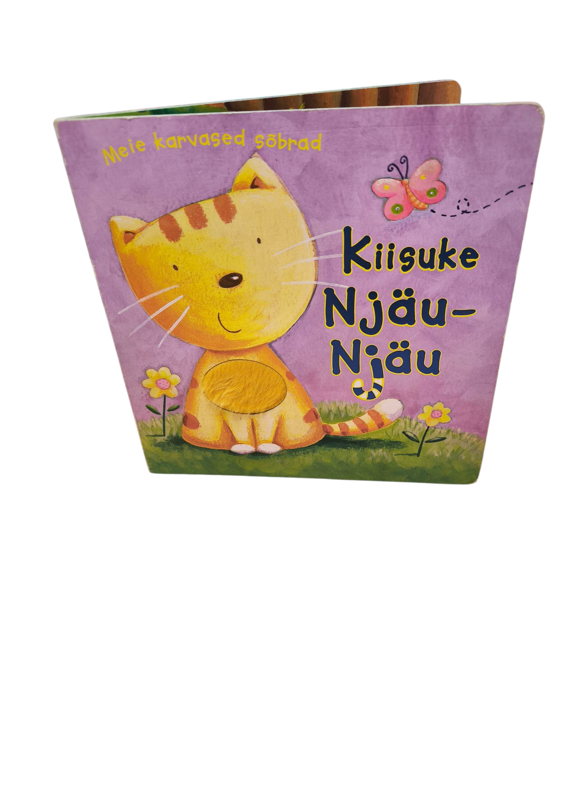 Kiisuke Njäu-Njäu raamat