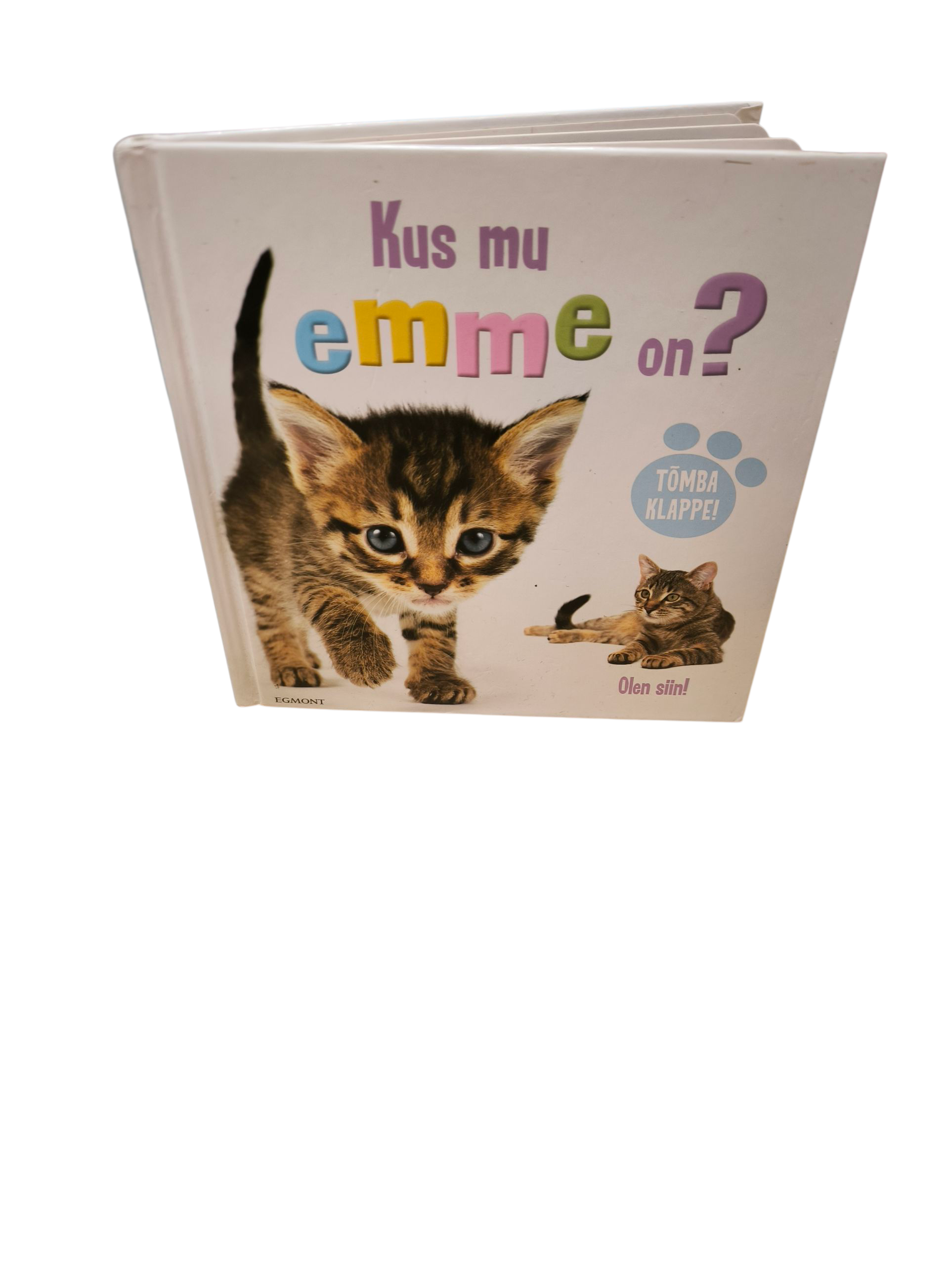 Kus mu emme on? Raamat