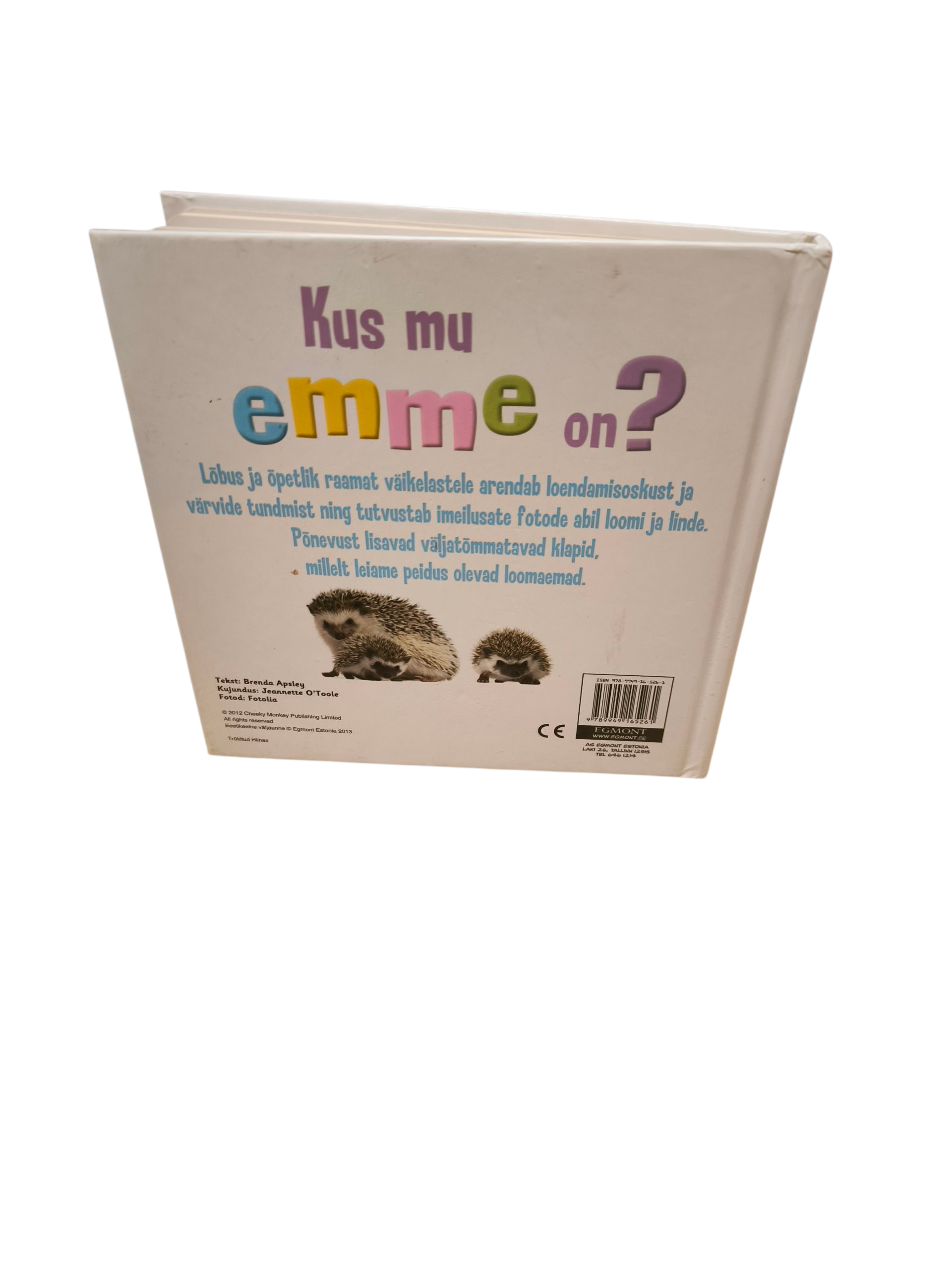 Kus mu emme on? Raamat - Image 2